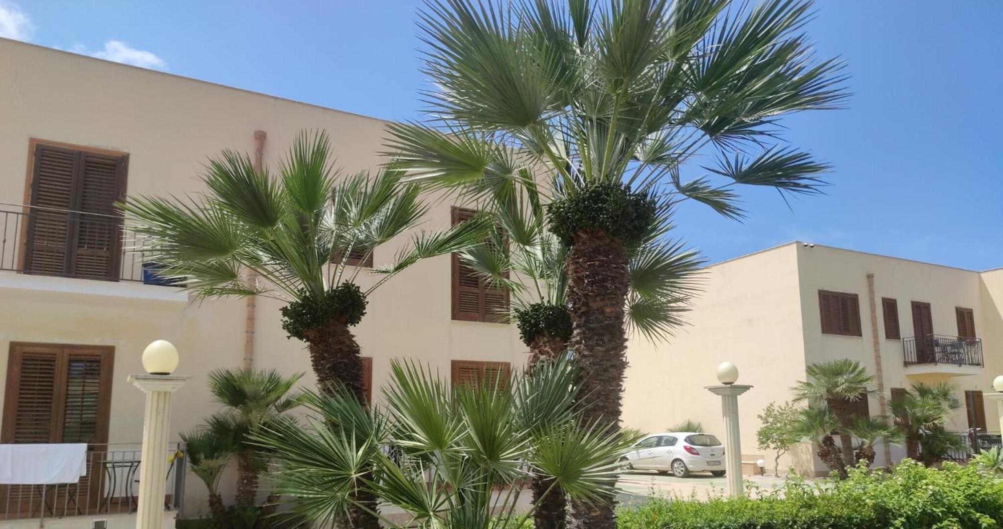 סן ויטו לו קאפו Holiday Home Lg מראה חיצוני תמונה